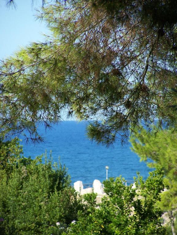 Tenuta Molino Di Mare- Ecoresort Con Villini Rodi Garganico Εξωτερικό φωτογραφία