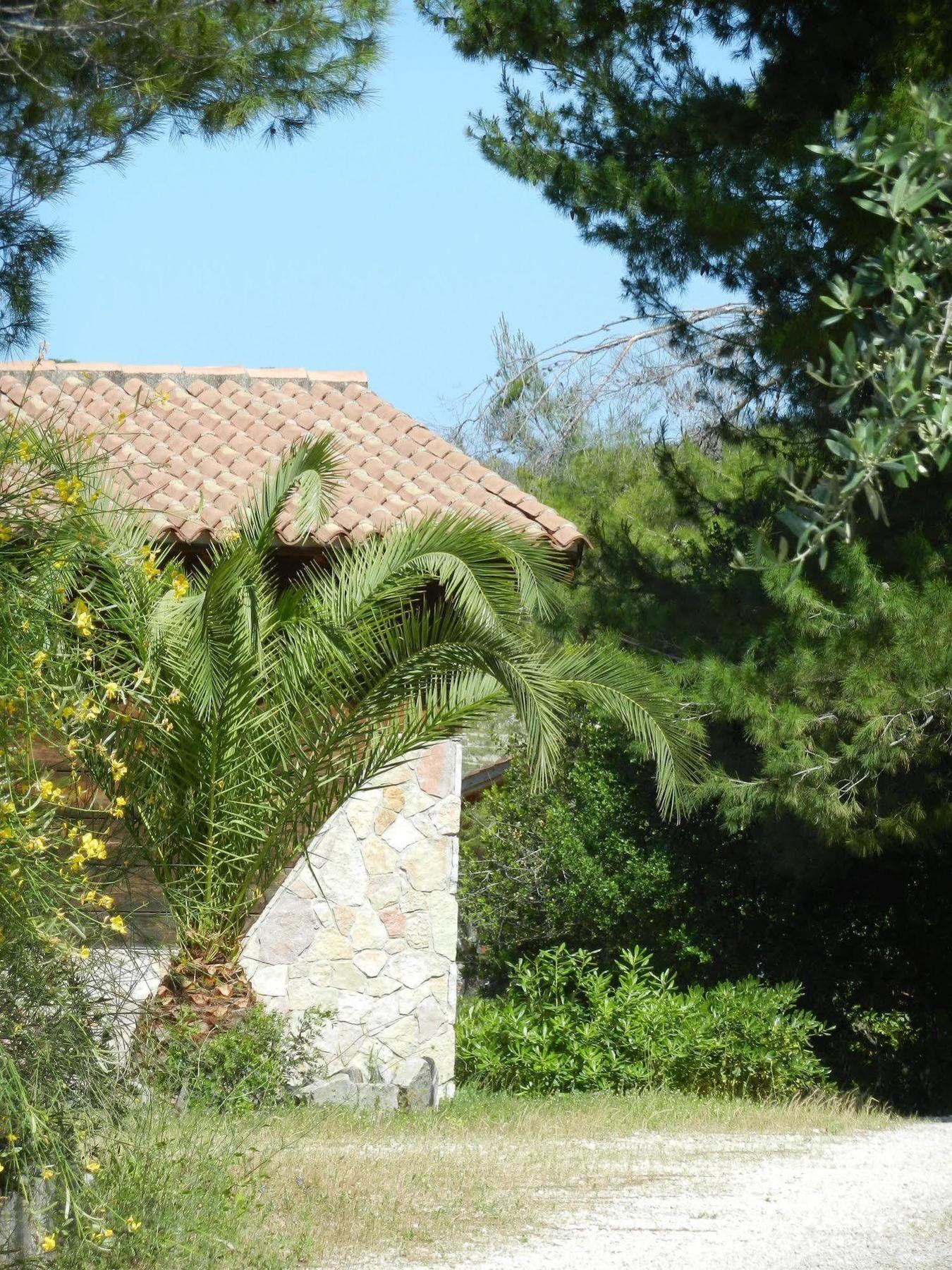 Tenuta Molino Di Mare- Ecoresort Con Villini Rodi Garganico Εξωτερικό φωτογραφία