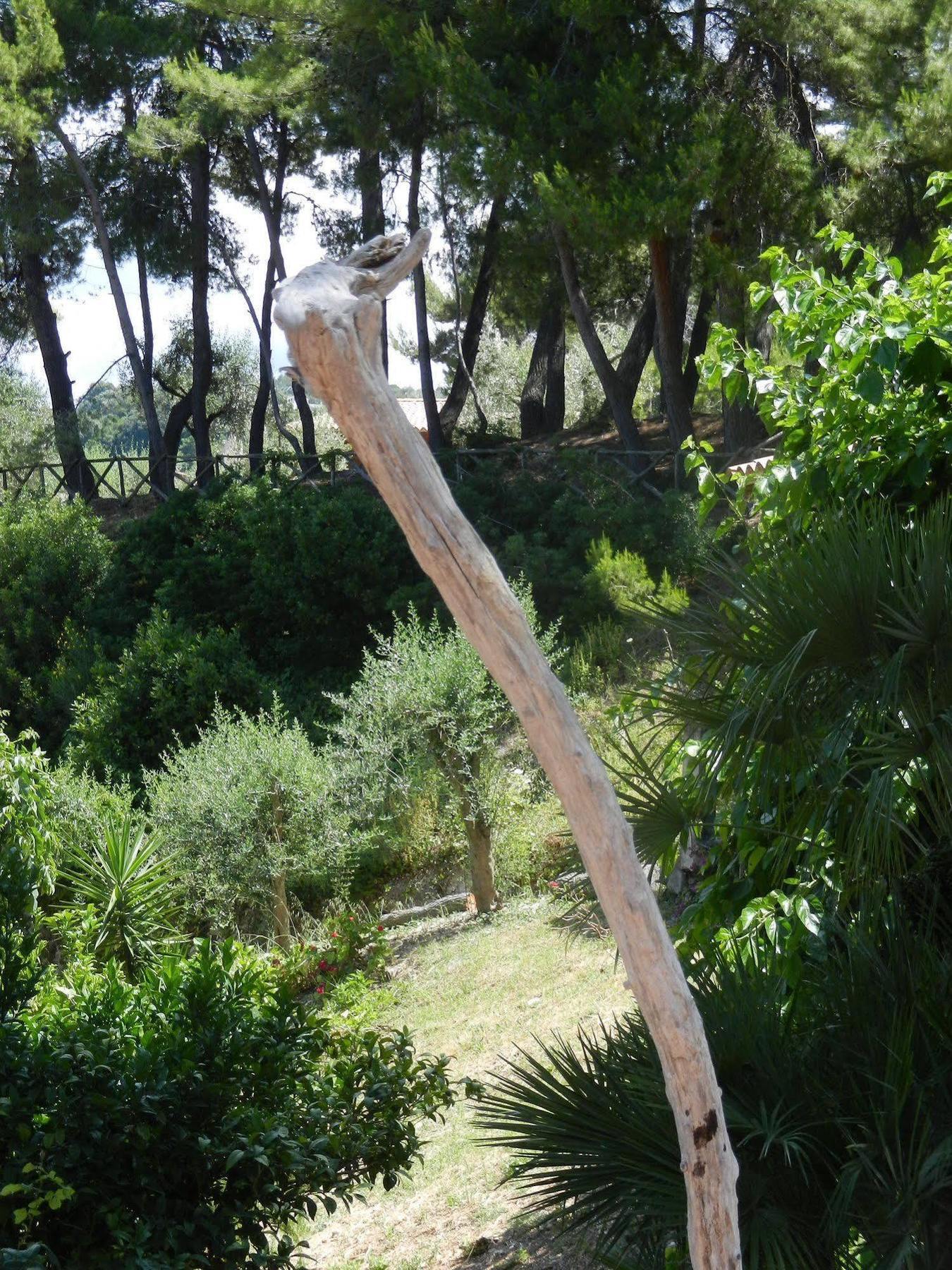 Tenuta Molino Di Mare- Ecoresort Con Villini Rodi Garganico Εξωτερικό φωτογραφία
